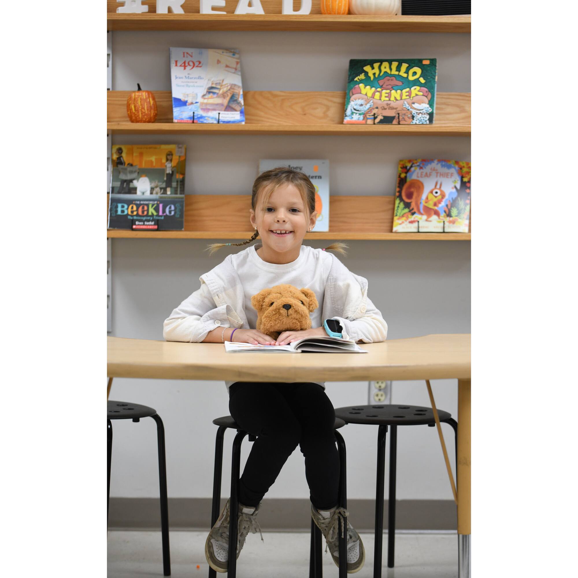 Bouncyband® Brown Dog Posture Pal